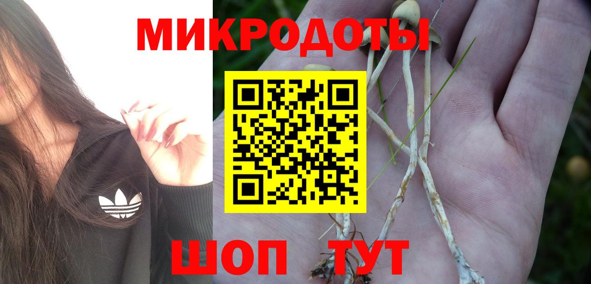 Псилоцибиновые грибы GOLDEN TEACHER Евпатория